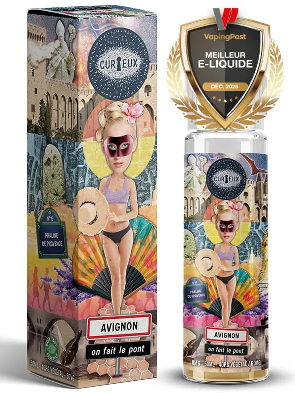 Avignon on fait le pont