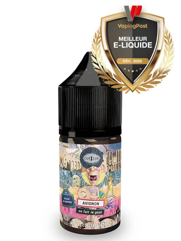 Avignon, on fait le pont